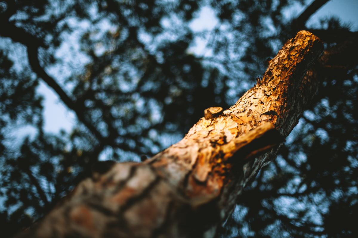 the rural worshop experience | Laura Stramacchia | Wedding Photography