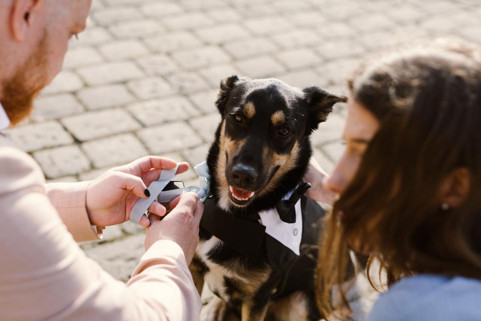 Matrimonio intimo in Lunigiana a Podere Conti | Laura Stramacchia | Wedding Photography