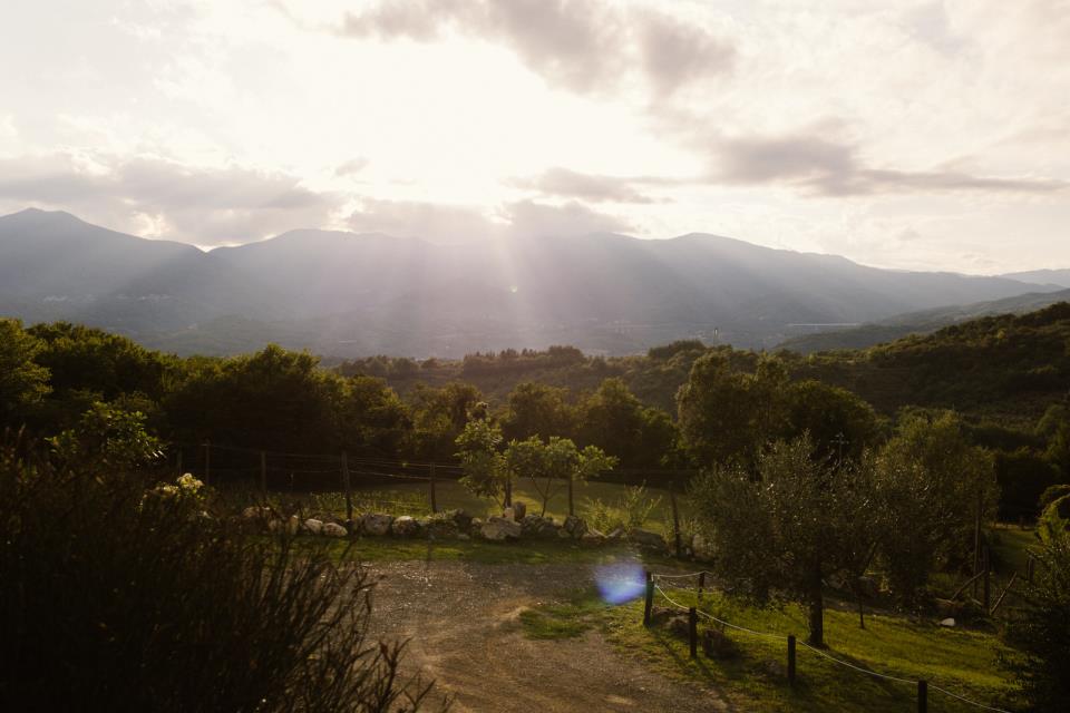 Sposi durante la cerimonia a Podere Conti in Lunigiana | Laura Stramacchia | Wedding Photography